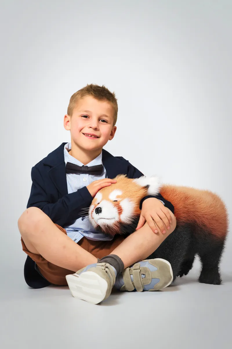 Communicant die knuffelt met rode panda